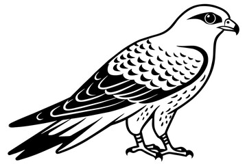 falcon bird silhouette vector illustration