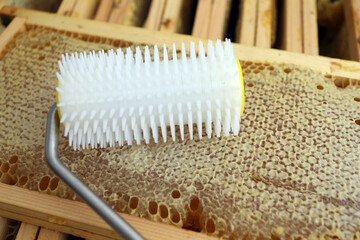 beekeeping - extracting honey from the honeycomb