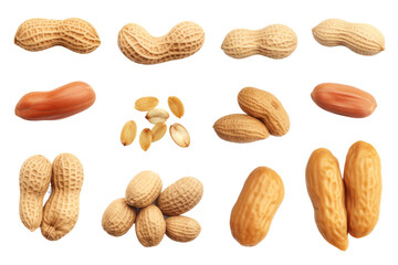 The Nutty Symphony on a White or Clear Surface PNG Transparent Background..