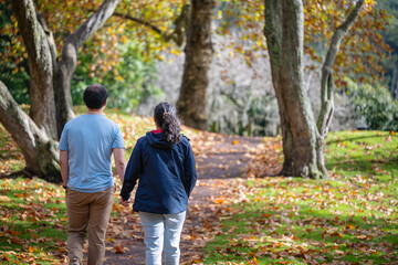 Obraz premium Couple holding hands and walking among golden autumn trees. Auckland.
