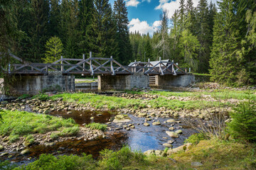 Bridge crossing a river amidst lush forest