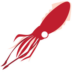 red squid illustration