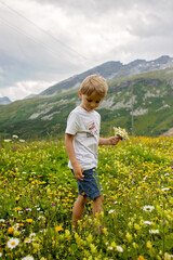 Beautiful blond child, boy, gathering wild flowers in the mountains in Switzerland, summertime