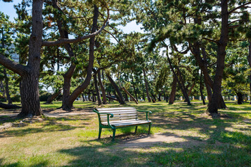 浜寺公園の風景