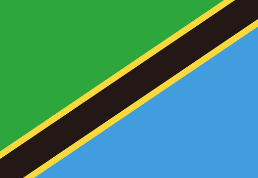 tanzania flag illustrator country flags