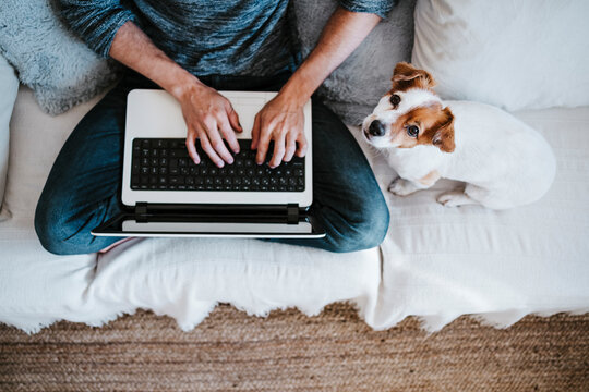Man working on laptop while sitting by dog on sofa at home - Powered by Adobe