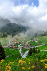 Elevit Plateau in Rize. This plateau . Kackar Mountains region. Rize, Turkey.