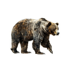 Fototapeta premium Majestic Grizzly Bear Powerful and Wild, Iconic Symbol of Nature's Strength and Wilderness 