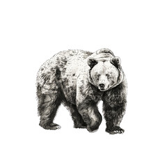 Majestic Grizzly Bear Powerful and Wild, Iconic Symbol of Nature's Strength and Wilderness 