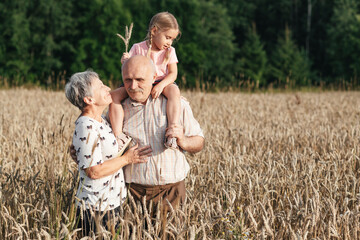 Family portrait of grandparents with their granddaughter in an oat field