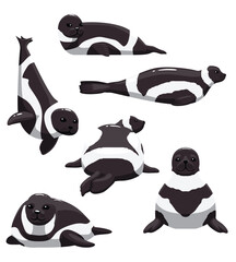 Ribbon Seal various Poses Set Cartoon Vector