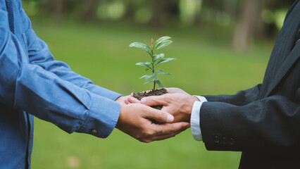 Collaboration between the government, the private sector and the public to help plant trees...