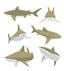 Bull Shark Cartoon Character