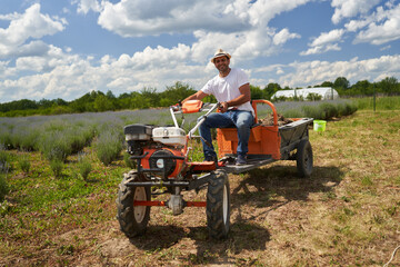 Indian man by his lavender field