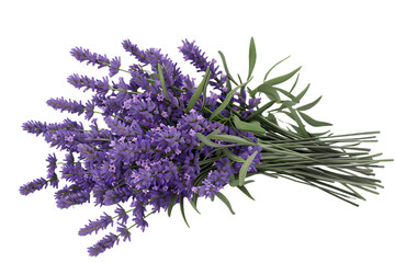 bunch of lavender isolated on transparent background © Tohamina