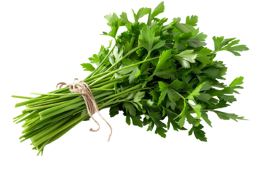bunch of parsley isolated on transparent background