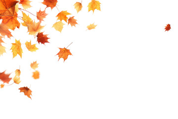 Whimsical Dance of Autumn Leaves on a White or Clear Surface PNG Transparent Background..
