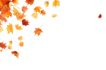 Whimsical Dance of Autumn Leaves on a White or Clear Surface PNG Transparent Background..