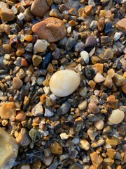 pebbles on the beach