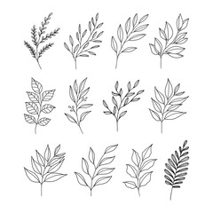 Set of leaves illustration vector