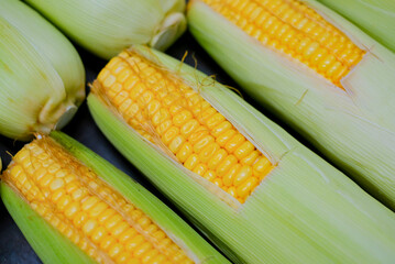sweet corn with green skin