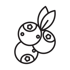 Blueberry icon line art vector