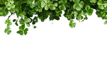 Fototapeta premium Clover leaves isolated on transparent background