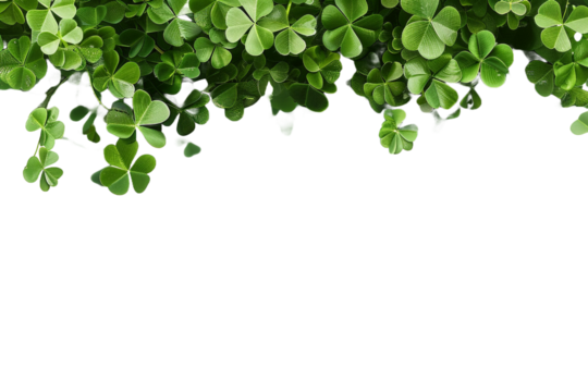 Clover leaves isolated on transparent background