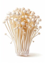 Velvet shank, enokitake mushrooms 3D modern illustration