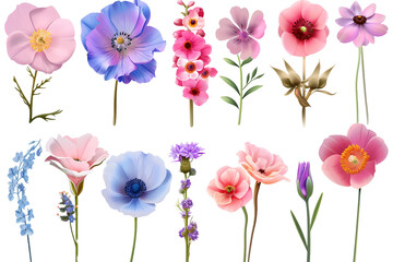 Collection of flowers isolated on transparent background