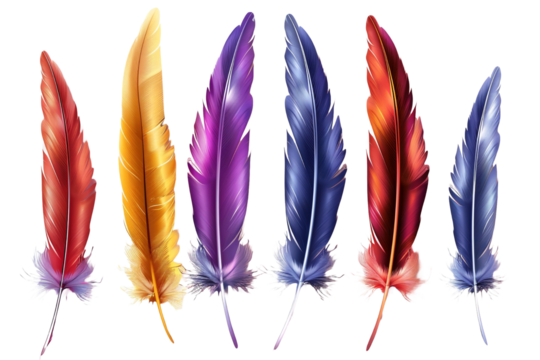 Color feathers isolated on transparent background