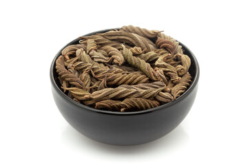 Close-up of Dry Organic Marod Phali (Helicteres Isora) fruits, in black ceramic bowl. Isolated on a white background.