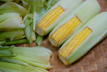 sweet corn with green skin