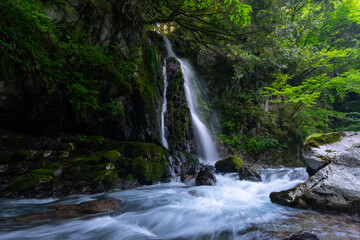 Fototapeta premium 美しい滝のある風景