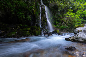 美しい滝のある風景
