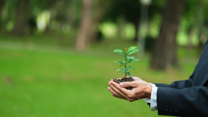 Collaboration between the government, the private sector and the public to help plant trees...