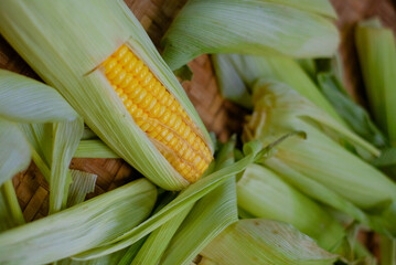 sweet corn with green skin