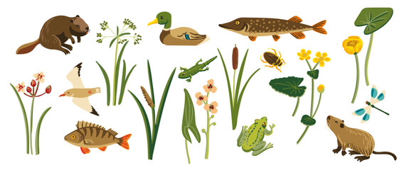 vector drawing wild water plants, fishes and animals at white background, set of natural elements, hand drawn illustration