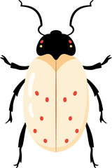 A bug with colorful color and beautiful pattern on its back wing. flat cartoon style.