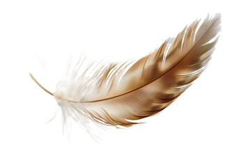 Obraz premium Feather isolated on transparent background