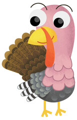 Cartoon funny cheerful farm animal bird turkey standing and smiling isolated illustration for children