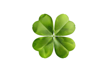 Four leaf clover isolated on transparent background