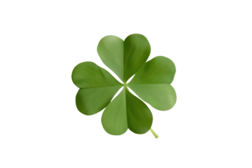 Four leaf clover isolated on transparent background