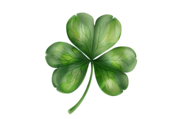 Four leaf clover isolated on transparent background