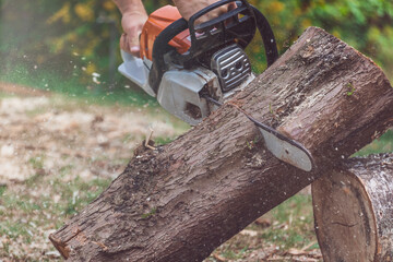 Man jointing a tree trunk with a motor saw