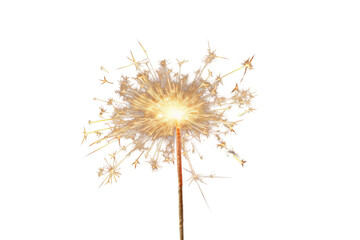 Whispers of the Wind: A Close-Up of a Dandelion on a White Background on a White or Clear Surface PNG Transparent Background..