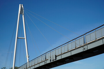 Cable-stayed bridge and cloudless sky - view from below