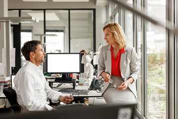 Businesswoman and businessman discussing at desk in office