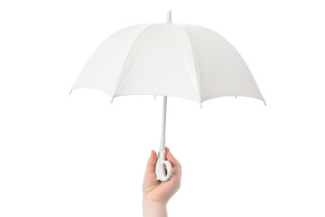 Dance of the Rain Master on a White or Clear Surface PNG Transparent Background..