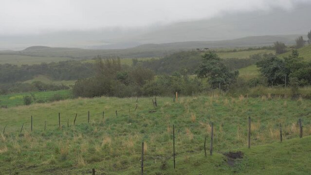 Gentle Pan Of Paddock In Rain. Equatorial Paramos, Ecuador, South America